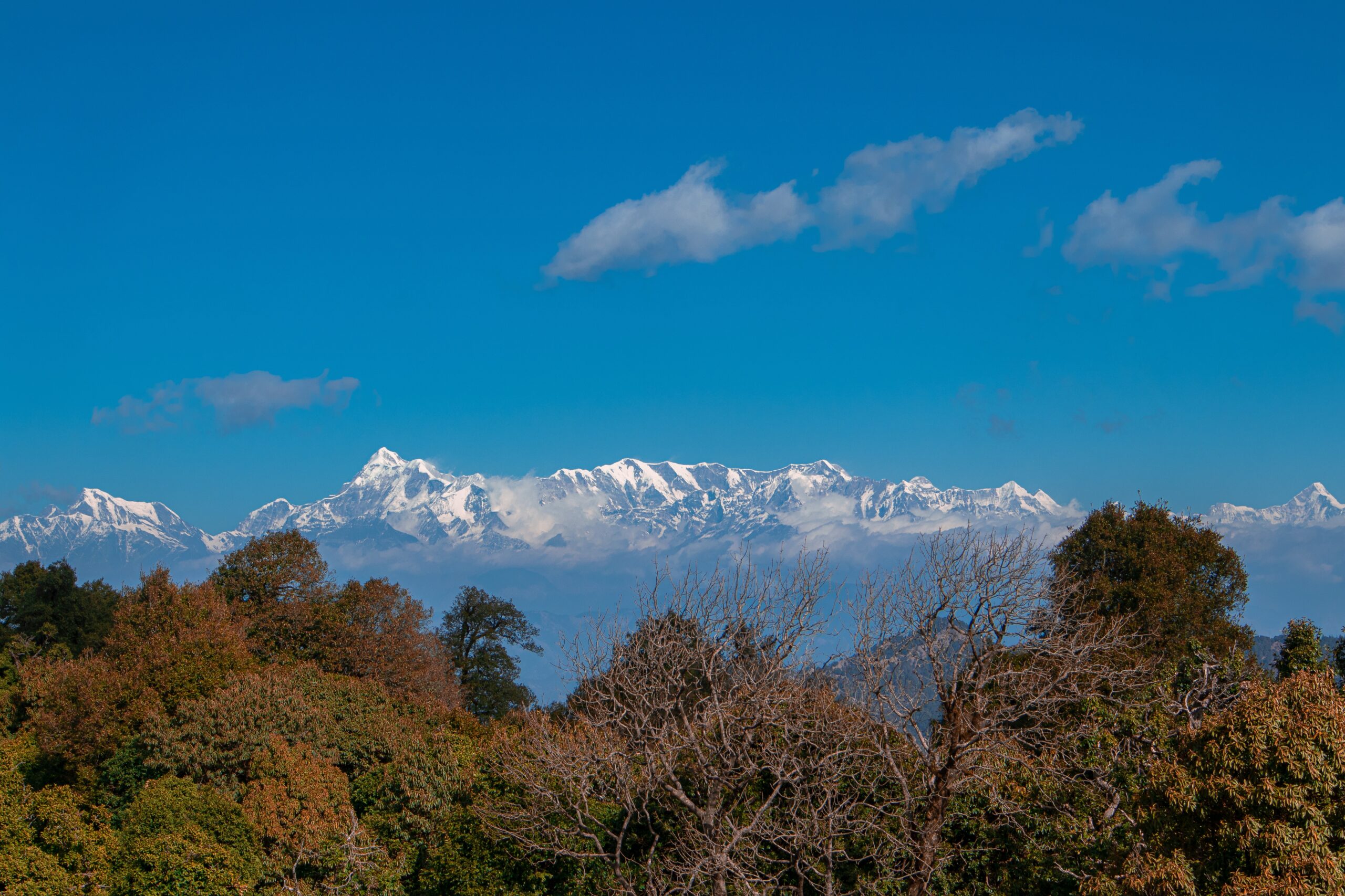 Himalayan view