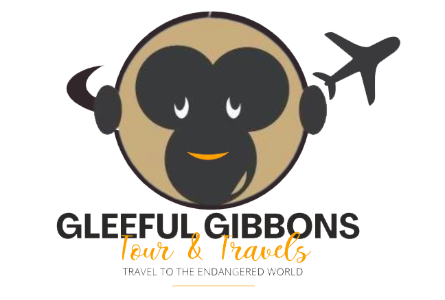 Gleeful-gibbons-logo-png