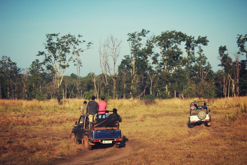 national park safari in jeap