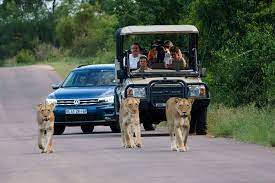 kruger-national-park-south-africa