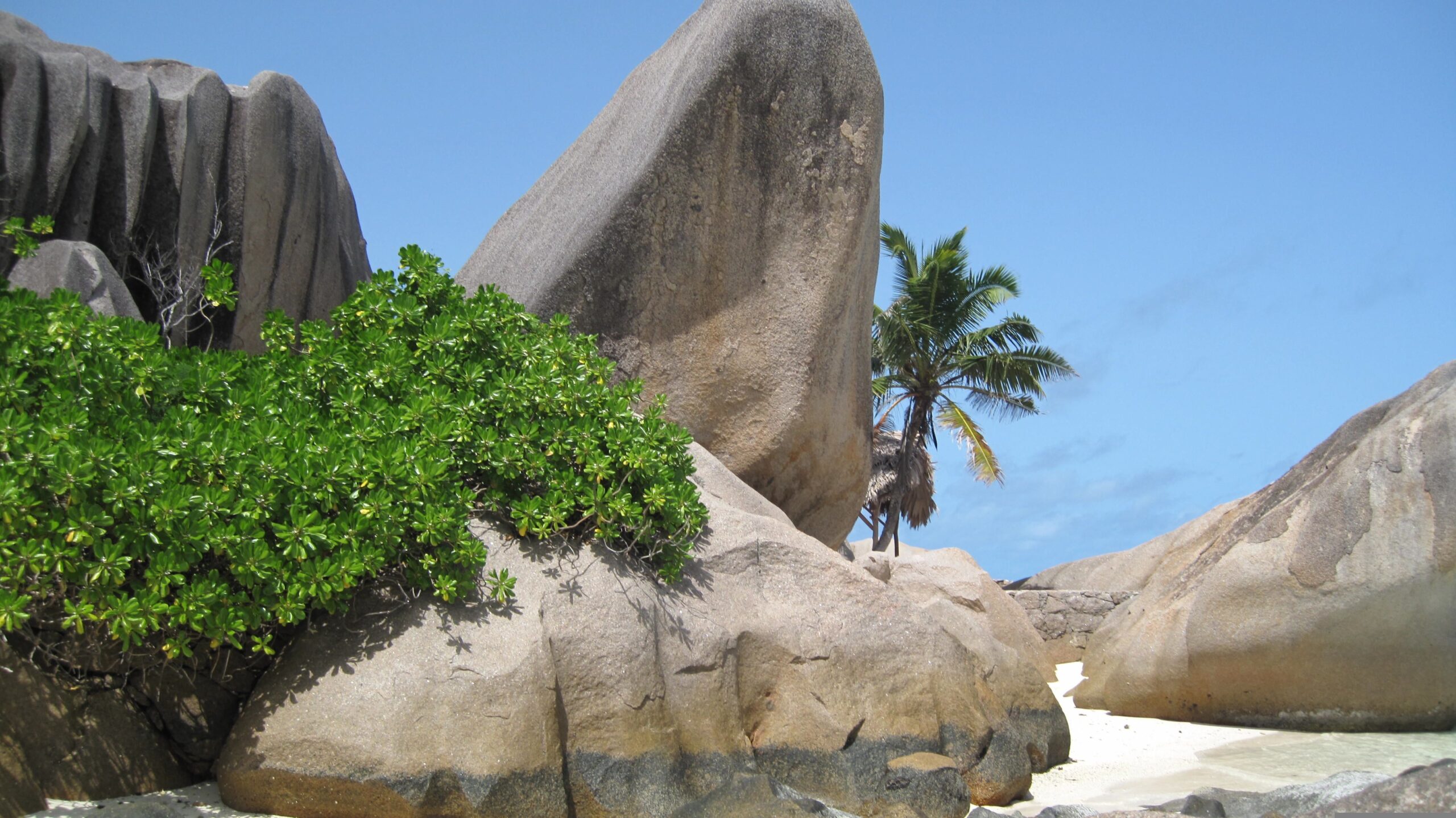 seychelles-tour