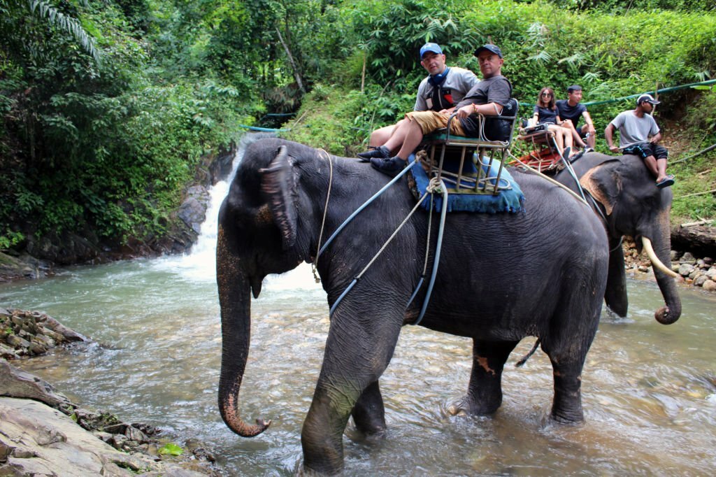 Tourists on Jungle tour in Krabi, Thailand