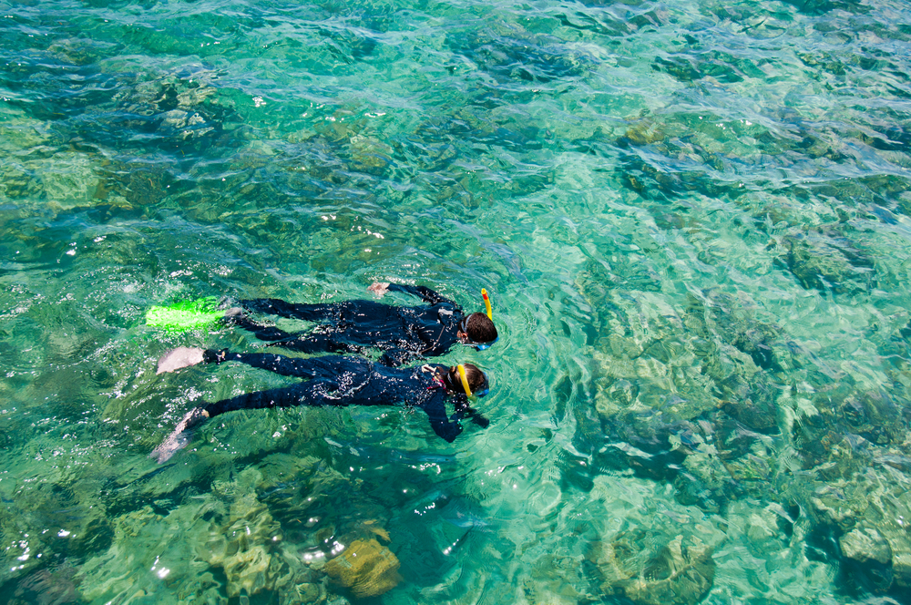 great-barrier-reef-australia-gleefulgibbons