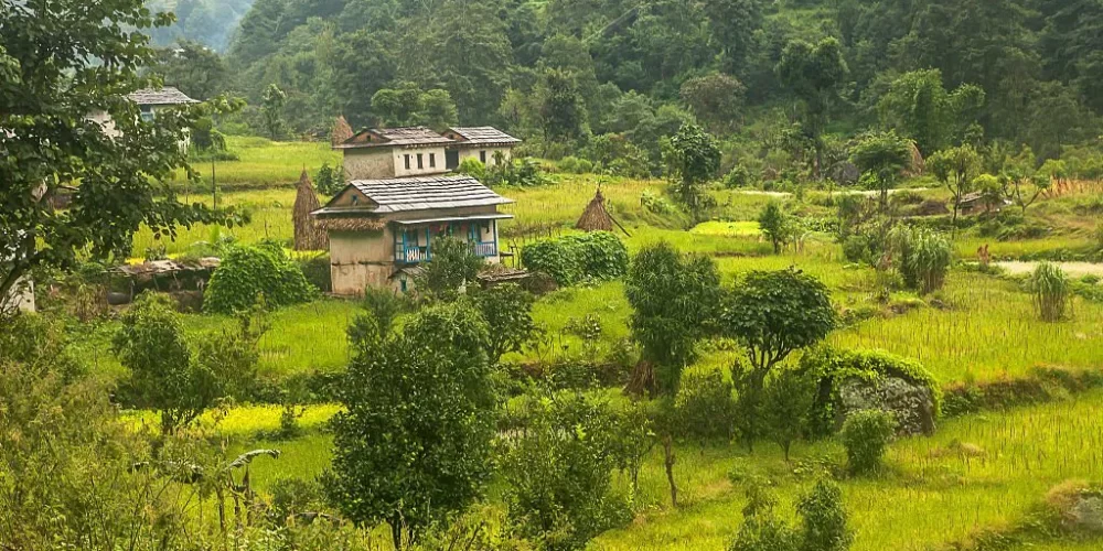 Kongthong Village Meghalaya